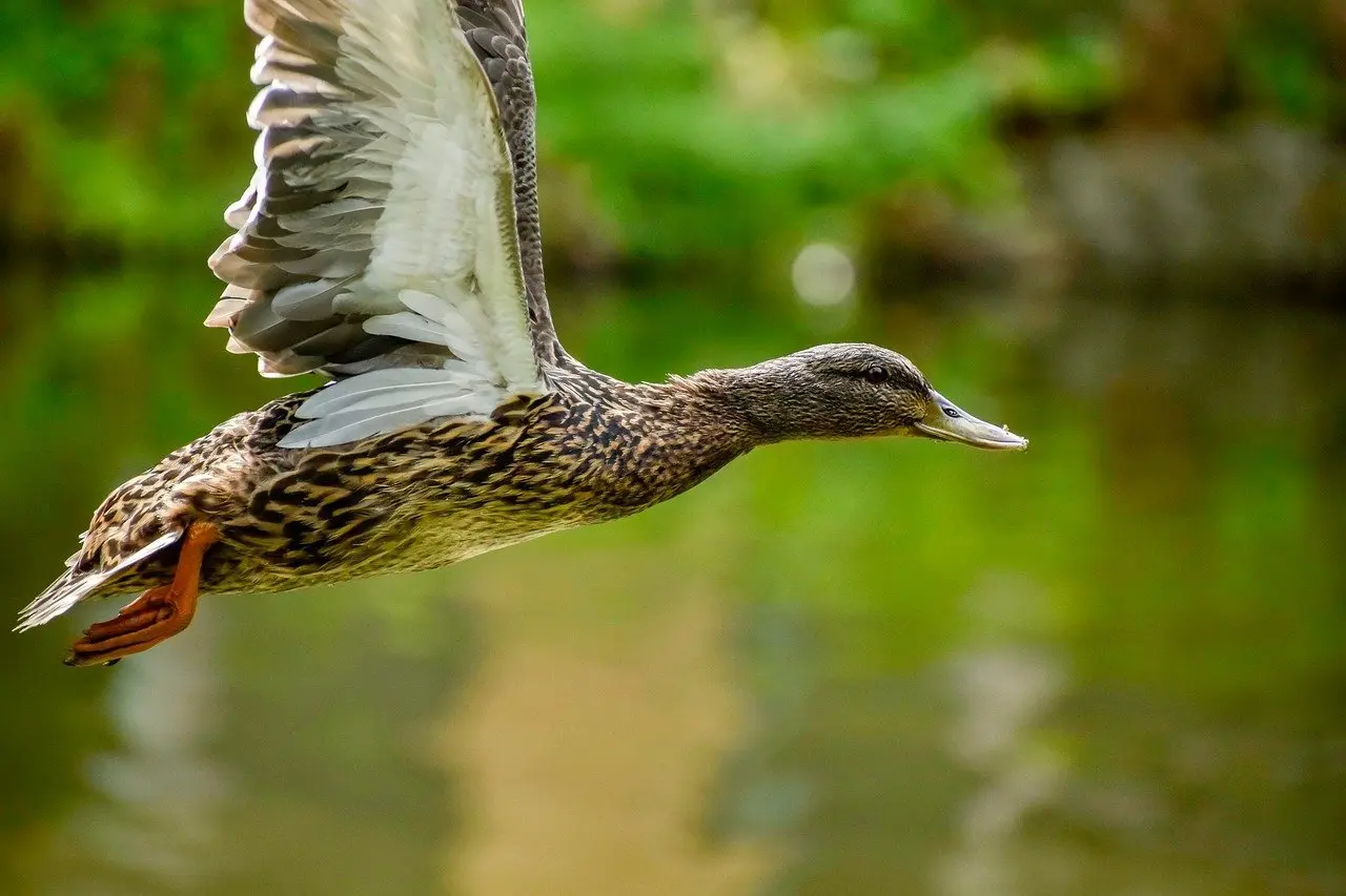 7 gode grunde til at vælge møntkrydsord som underholdning derhjemme